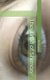 The Time of Shimon (Paperback): M. Russo