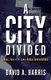 A City Divided: Race, Fear and the Law in Police Confrontations (Paperback): David A Harris
