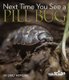Next Time You See a Pill Bug (Paperback): Emily Morgan