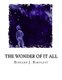 The Wonder of It All - Your Unique Place Amongst the Sun, Moon, Planets and Stars of the Universe (Paperback): Richard J....