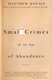 Small Crimes in an Age of Abundance (Paperback): Matthew Kneale