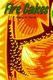 Fire Cakes (Hardcover): Roger H. Norris
