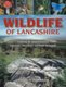 Wildlife of Lancashire - Exploring the Natural History of Lancashire, Manchester and North Merseyside (Hardcover, Illustrated...