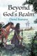 Beyond God's Realm (Paperback): David Barnett