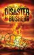 Disaster at Bushehr (Hardcover): Reginald Nelson