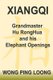 Xiangqi Grandmaster Hu Ronghua and His Elephant Openings (Paperback): Ping Loong Wong