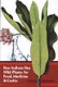 How Indians Use Wild Plants for Food, Medicine and Crafts (Paperback, New edition): Frances Densmore