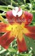 Think about It Volume III - A Collection of Essays (Paperback): Dr Don Meyer