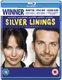 Silver Linings Playbook (Blu-ray disc): Jennifer Lawrence, Robert De Niro, Bradley Cooper, Julia Stiles, Chris Tucker, Shea...