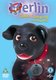 Merlin the Magical Puppy: Merlin Goes Camping and Other Tails (DVD): Dawn French, Martin Clunes, Rob Rackstraw