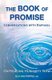 The Book of Promise - Conversations with Raphael on healing humanity now (Paperback): Els Van Poppel