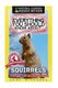 Everything You Should Know About - Squirrels (Paperback): Anne Richards