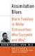 Assimilation Blues: Black Families In White Communities, Who Succeeds And Why (Paperback, Revised): Beverly Daniel Tatum