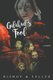 Galahad's Fool (Paperback): Conrad Bishop
