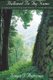 Hallowed Be Thy Name (Paperback): Sonya T. Anderson