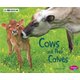 Cows and Their Calves: A 4D Book (Hardcover): Margaret Hall