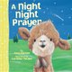 A Night Night Prayer (Board book): Amy Parker