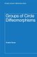 Groups of Circle Diffeomorphisms (Hardcover): Andres Navas