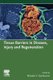 Tissue Barriers in Disease, Injury and Regeneration (Paperback): Nikolai V. Gorbunov