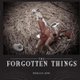 Forgotten Things (Paperback): Rebecca Lowe