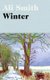 Winter - 'Dazzling, luminous, evergreen' Daily Telegraph (Hardcover): Ali Smith