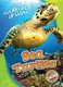 Sea Turtles (Hardcover): Kari Schuetz