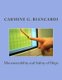 Manoeuvrability and Safety of Ships (Paperback): Carmine G Biancardi Phd
