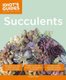 Succulents (Paperback): Cassidy Tuttle