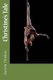 Christine's Tale (Paperback): Joanna Thomas