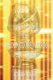 How I Crashed the Golden Globe Awards Six Times (Paperback): Coleson