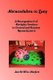 Abracadabra To Zany - A Smorgasbord Of Birthday Vendors In Central And Eastern Massachusetts (Paperback): Jan Griffin-Hazlett