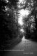 Long Dark Road - Bill King and Murder in Jasper, Texas (Paperback): Ricardo C. Ainslie