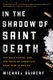 In the Shadow of Saint Death - The Gulf Cartel and the Price of America's Drug War in Mexico (Paperback): Michael Deibert