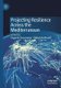 Projecting Resilience Across the Mediterranean (Paperback, 1st ed. 2020): Eugenio Cusumano, Stefan Hofmaier