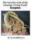 The Secretive Life of the Amazing 'Living Fossil' Scorpion (Paperback): M Habibulla