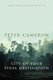 The City of Your Final Destination (Paperback): Peter Cameron