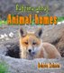 Rapping about Animal Homes (Hardcover): Bobbie Kalman