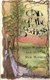 Clan of the Goddess - Celtic Wisdom and Ritual for Women (Paperback): C. C Brondwin