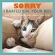 Sorry I Barfed on Your Bed (and Other Heartwarming Letters from Kitty) (Paperback): Jeremy Greenberg