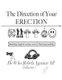 The Direction of Your Erection - Making Logical Sense Out of Homosexuality (Paperback): He Who Rebels Against All