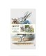 Alice in Wonderland Set of 3 Mini Notebooks (Notebook / blank book, New edition): Flame Tree Studio