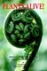 Plants Alive! - Revealing Plant Lives Through Guided Nature Journaling (Paperback): Charles E. Roth