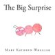 The Big Surprise (Paperback): Haleigh Wheeler