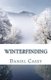 Winterfinding (Paperback): Daniel Casey