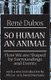 So Human an Animal - How We are Shaped by Surroundings and Events (Hardcover): C.H. Waddington