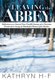 Leaving the Abbey - Reflections on a Several-Year, Parallel Journey of a Christian Parish and a Group of Wonderful Women (plus...