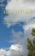 How to Think (Paperback): Spencer K Wright