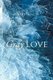 Gray Love (Paperback): Robert Leza