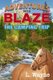 The Camping Trip (Paperback): L. Wayne