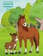 Livre de coloriage Animaux de compagnie 1 & 2 (French, Paperback): Nick Snels